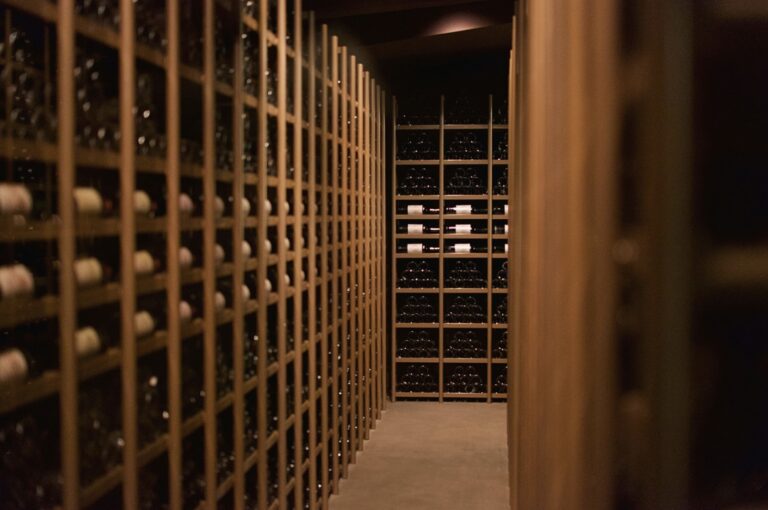 Wine Cellar Singapore: How to Choose the Right Storage for Your Collection